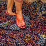 Unique Experiences: Grape Stomping at Our Winery