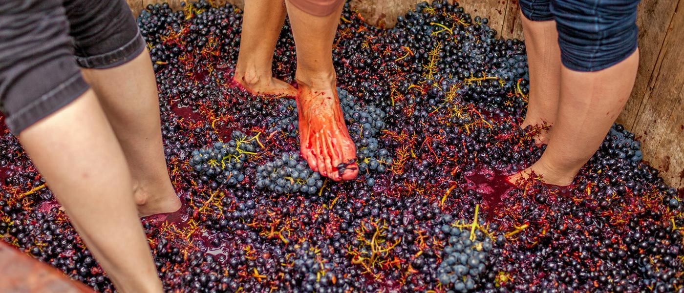 Unique Experiences: Grape Stomping at Our Winery