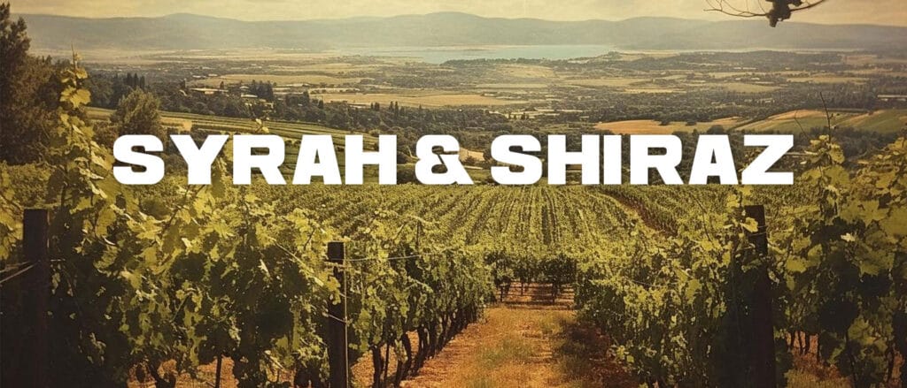 Shiraz and Syrah