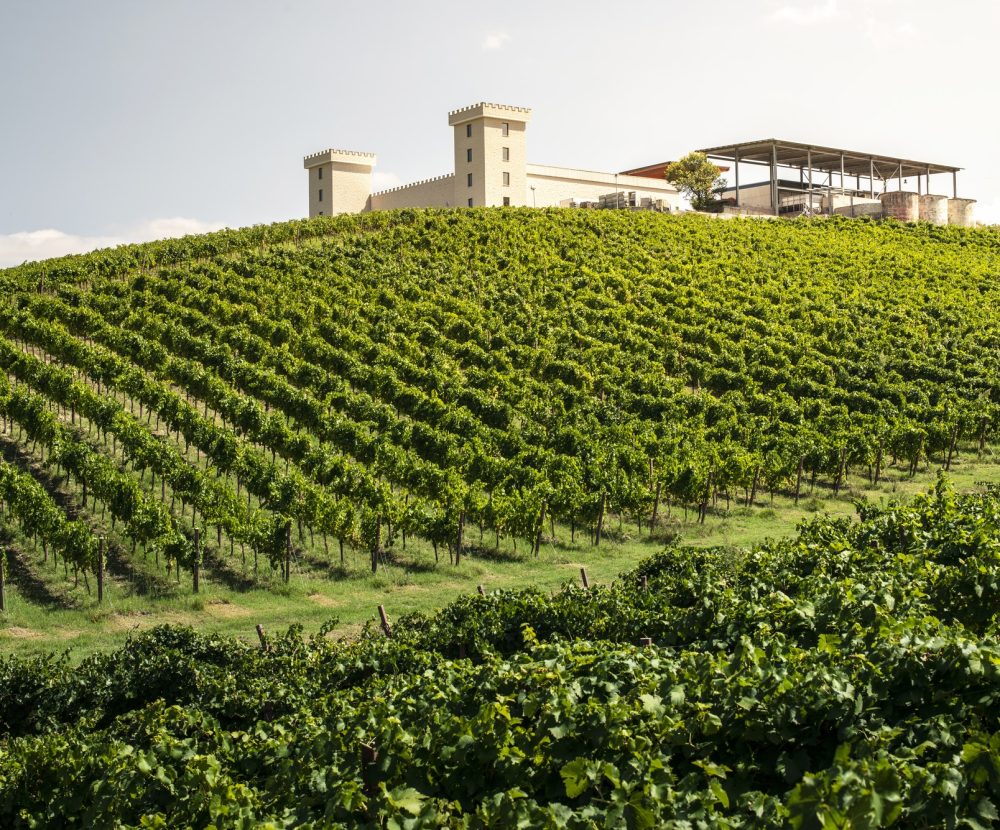 winery-on-hill-and-vineyards-rows-winery-building-on-top-of-the.jpg
